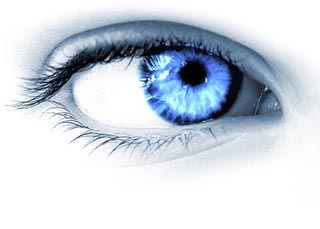 GCoastEyeOn's profile picture. Eye On Property: (retired LREA PM/Onsite Resort Management)        2025 house/pet sitting .JP QUAL QLD