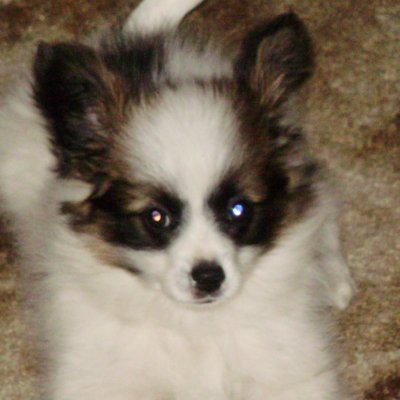 safexmoonlaunch's profile picture. YEAH.... NAH..... YA BANANA