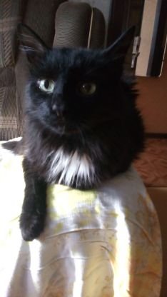 1A6zNzORhEWMA3X's profile picture. 