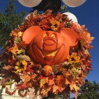 savvy (@moscafamily) 's Twitter Profile Photo