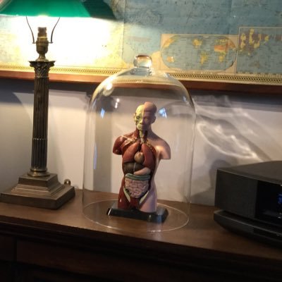 NapoleanSt's profile picture. Antiques, Mid Century and Eclectic Retro Bits