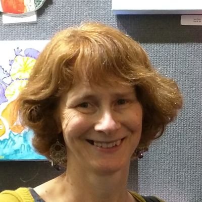 IT Consultant, Digital Technologies Education, CSIRO STEM Professionals in Schools, GPN