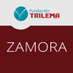 Trilema Zamora (@TrilemaZamora) Twitter profile photo