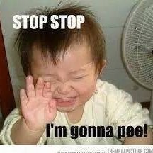 bitnoshi's profile picture. 🍇