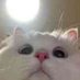 竹熊猫 (@panda_vquvb) Twitter profile photo 竹熊猫 (@panda_vquvb) Twitter profile photo