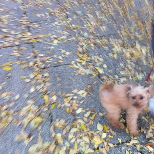 Kei_jasy's profile picture. 