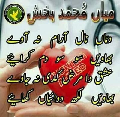 sHI7X2jHyhYweT1's profile picture. 