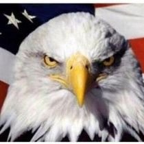 libre pensador. valores Ciudadanos, cuenta alterna➡️➡️ 🆘️🇻🇪⚠️
Libre Mercado, Pro Occidental.
No al GLOBALISMO Si al Estado De Nación🇺🇸👈💯