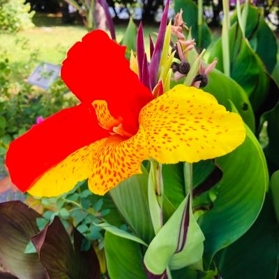 skan_gunay's profile picture. Okur ve izler