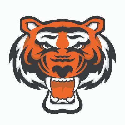 This is the official twitter account for the Quad Cities Rawlings Tigers Baseball Club.  Proud to be bringing high school travel baseball to the Quad Cities.