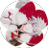 29_Deco_877's profile image
