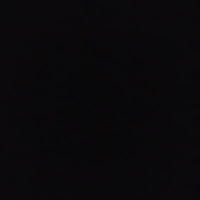 nekotopia99's profile picture. 