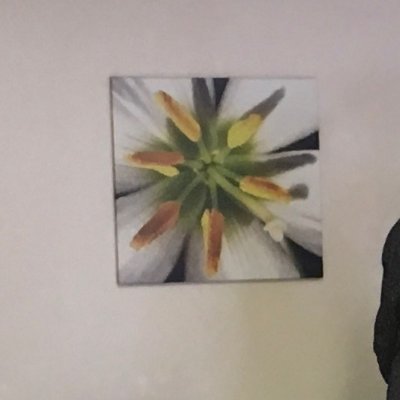 imilkcowsonskis's profile picture. Human that sometimes says and/or reads things. 43