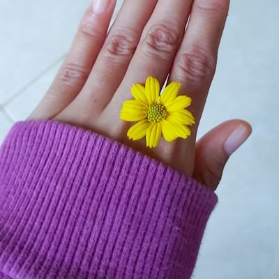nisy4lalala's profile picture. 