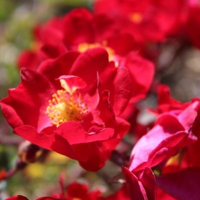 fruitstandte's profile picture. On a new level💯