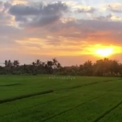 Bismillahirrohmanirohim O:-) IAIN Salatiga