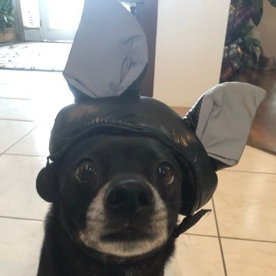 rachelpaul823's profile picture. hey