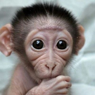 Mels87kz2's profile picture. Аллах любить нас, ИншАллах!