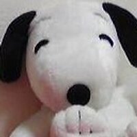 yurizono（ぞのさん） (@yurizono) Twitter profile photo