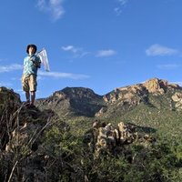 Trevor Sless, Ph.D (@slesstrevor) 's Twitter Profile