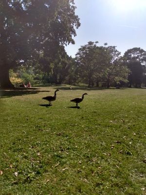 hello_hc's profile picture. 