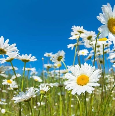 ourlight1's profile picture. Be the change you want to see in the world...... Gandhi