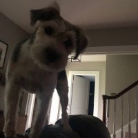 WahooHammond (@kmurphyhammond) 's Twitter Profile