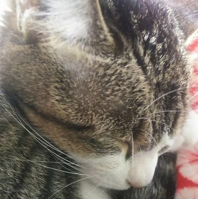 趣味はカフェめぐりと女性を悦ばせること。
好きな物は猫とスイーツ。
女性を悦ばせるためなら全力を尽くします!
年齢容姿問いません。
ヨロシクお願いします🙇⤵️
泊まるとこ無い人泊めます。
