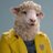sheeplefollows's avatar