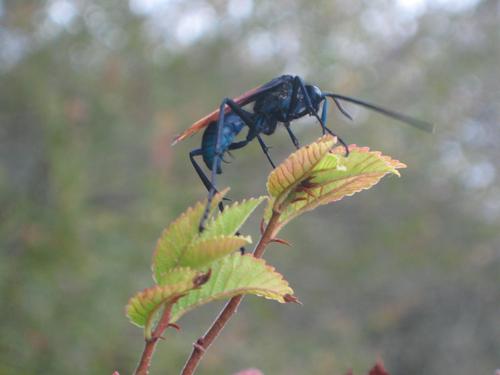 Malgrats's profile picture. Young at 63, all systems are go and countdown continues....