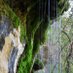 Bull Creek Foundation (@bullcreekatx) Twitter profile photo Bull Creek Foundation (@bullcreekatx) Twitter profile photo