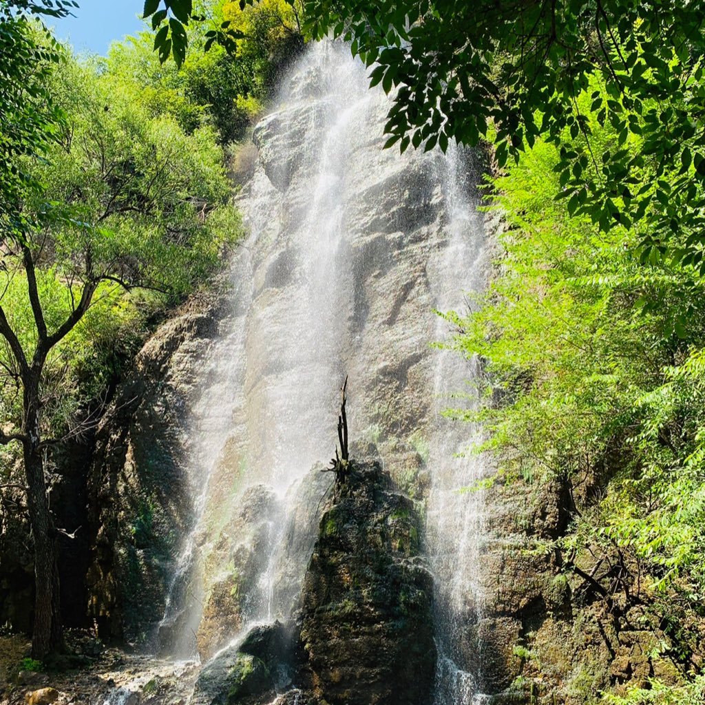 stevennaoh's profile picture. 