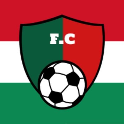 Futebol Catarinense Profile