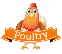 poultryApp