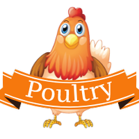 poultryApp(@AppPoultry) 's Twitter Profile Photo