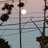 PabloSa62584686's profile image
