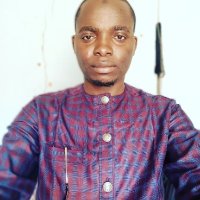 Auwal shehu (@auwalsgini) 's Twitter Profile