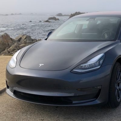 Posting updates about my 2019 Tesla Model 3 LR RWD with FSD experience. Ask me anything! posting anything $TSLA for funsies