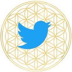 nwoltweets's profile picture. Display the language memes from New Waves of Light https://t.co/1O1bbePR8c  English memes @NewWavesLight main account @NewWavesofLight