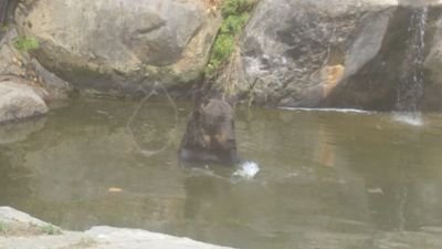 wjb4wp28F6qcgUo's profile picture. 中学二年生 女子  妄想を描いてます（Seventeenを中心に）   雑食です。 twiceとSeventeenとbtsとEXOが好きです。  後怖い話しも好きです❗️気軽にDM下さい