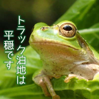 かみろさんのプロフィール画像