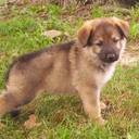 Daniel Garnett - @BMXheroes - Twitter