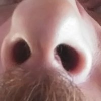 Khaaaaan (@secretpolicia) 's Twitter Profile Photo