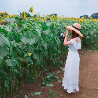 KairiLagu's profile picture. FF様＝ほぼお取引件数/メル取引経験◎・今は"交換目的"で使っていますが基本は普段使いしていないアカウントなので、お取引内容は残したくなくリプ・DM等は削除させていただきます🙇‍♀️よろしくお願い致します💚