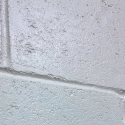 cleddans2018's profile picture. House Captain- Callum Shanks. Vice captains- Alanah Mills & Emma Weir