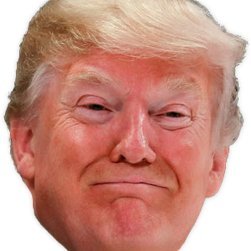 randomtrump1 Profile Picture