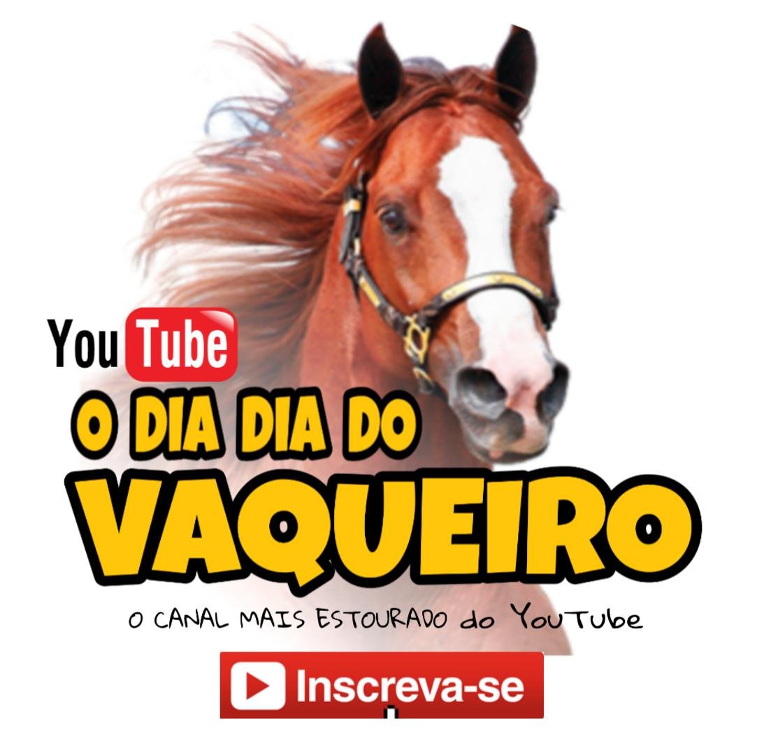 Mim chamo Robsão sou youtuber canal o dia dia do vaqueiro onde trago videos todas as semanas relacionados ao dia dia do vaqueiro a lida nas fazendas na roça sdv