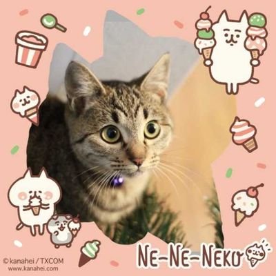 urtottotto's profile picture. perfume(かしゆか)。ポケモン。fgo。カメラ(canon)。バトオペ2。 コスプレ撮影。グランツーリスモ。wot。マイクラ。zc33s。