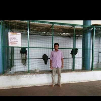 engg