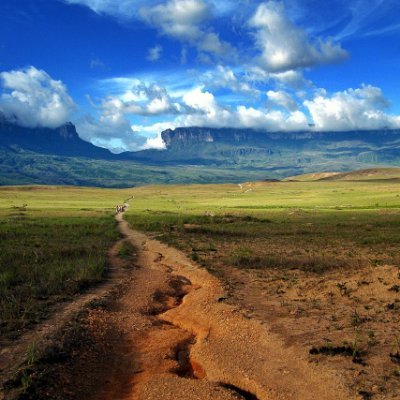 Veterinarian, Marketer, Adventurer...
Getty Images Photographer
https://t.co/5bEW05DAao